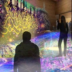 菌類が地下に作るネットワークの世界の写真