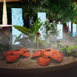 世界中の植物たちが&ldquo;ひとつの森&rdquo;を生み出すの写真
