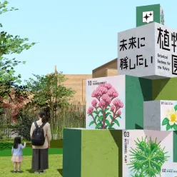 探そう、隠された世界の植物たちの写真